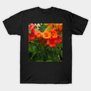 Trumpet Vine Flowers T-Shirt